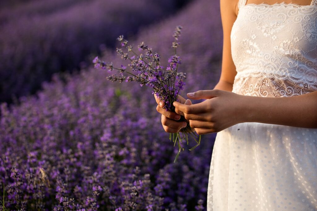lavender, flowers, flower background-3576132.jpg